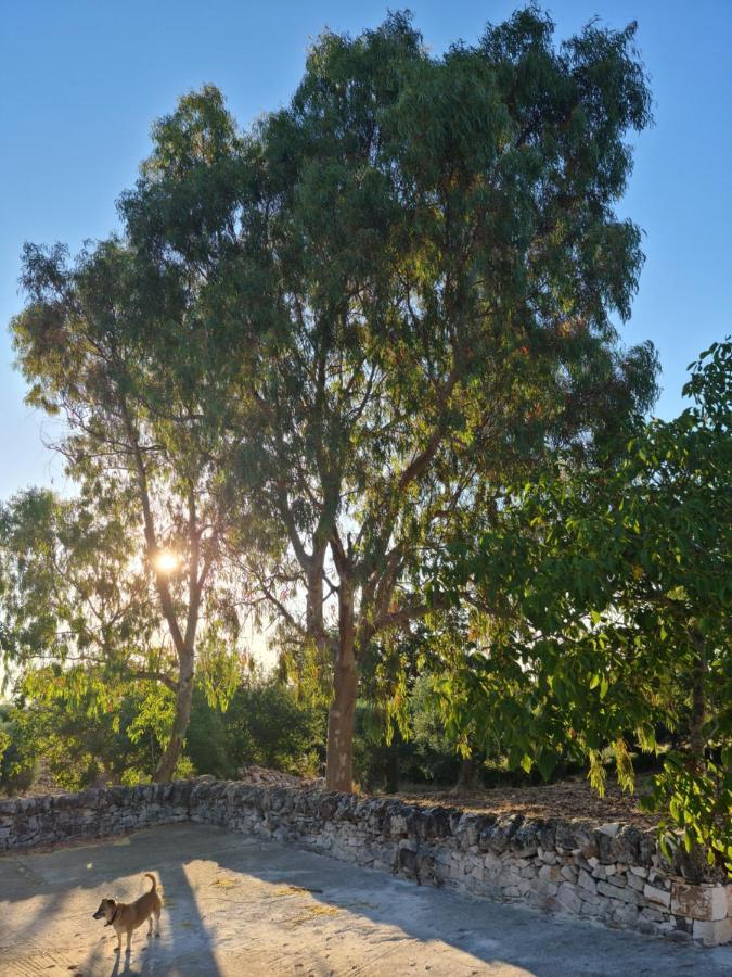 Trulli L'Utopia Di Anny Trulli Anny'S Utopia Locorotondo Bagian luar foto